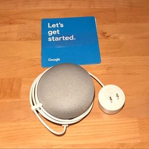 NWOB Google Home Mini in Chalk